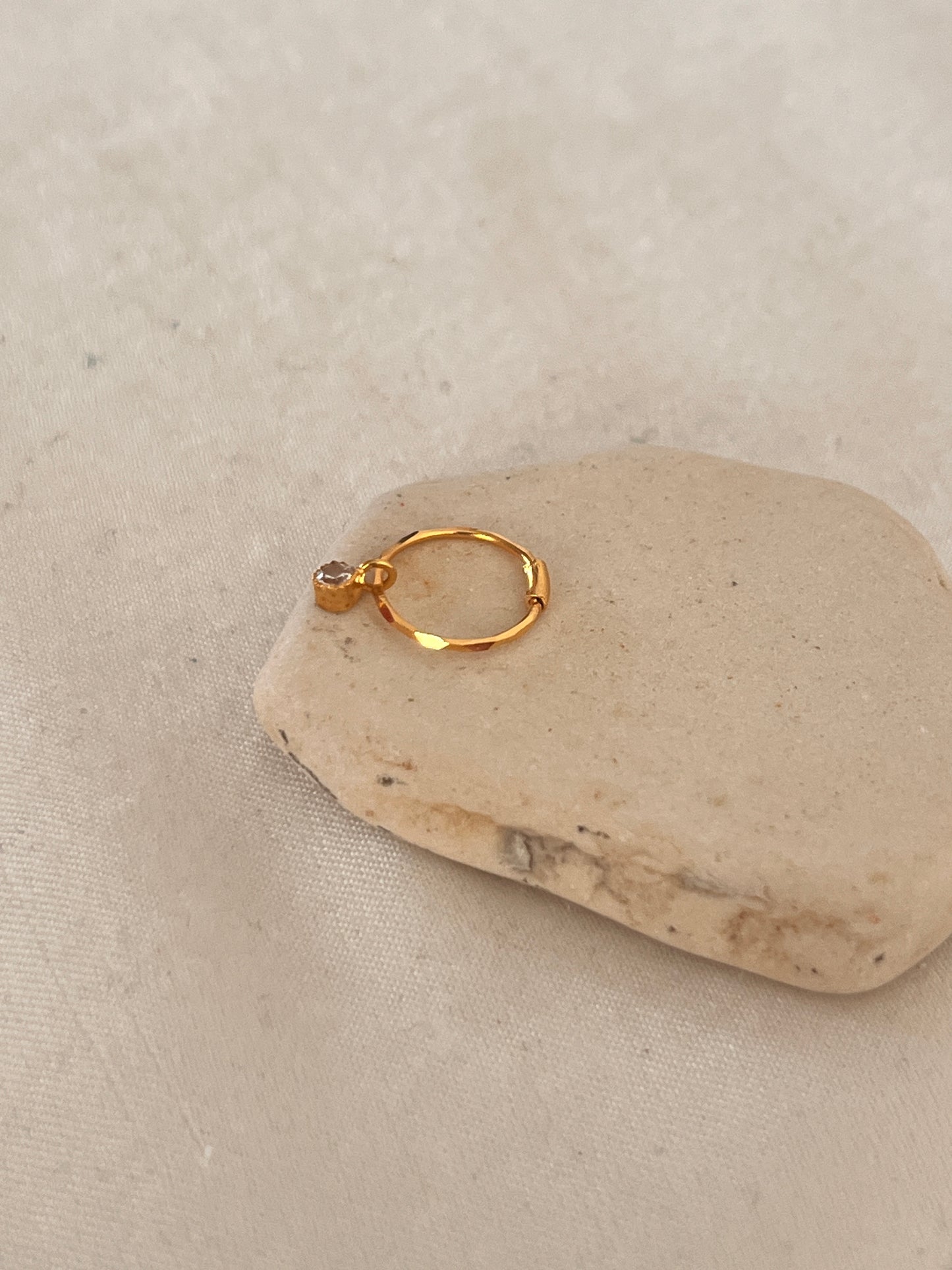 Nosering with Removable Drop