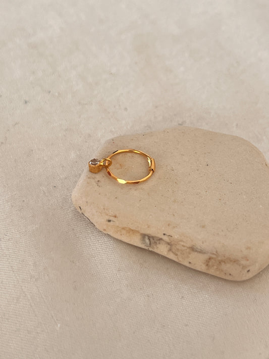 Nosering with Removable Drop